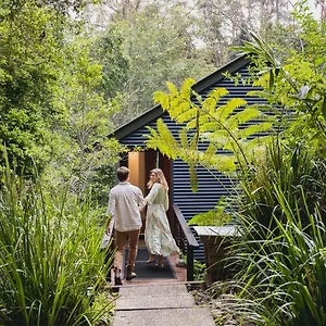 Kondalilla Eco 3* Montville